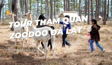 Tour tham quan sở thú Zoodoo Đà Lạt
